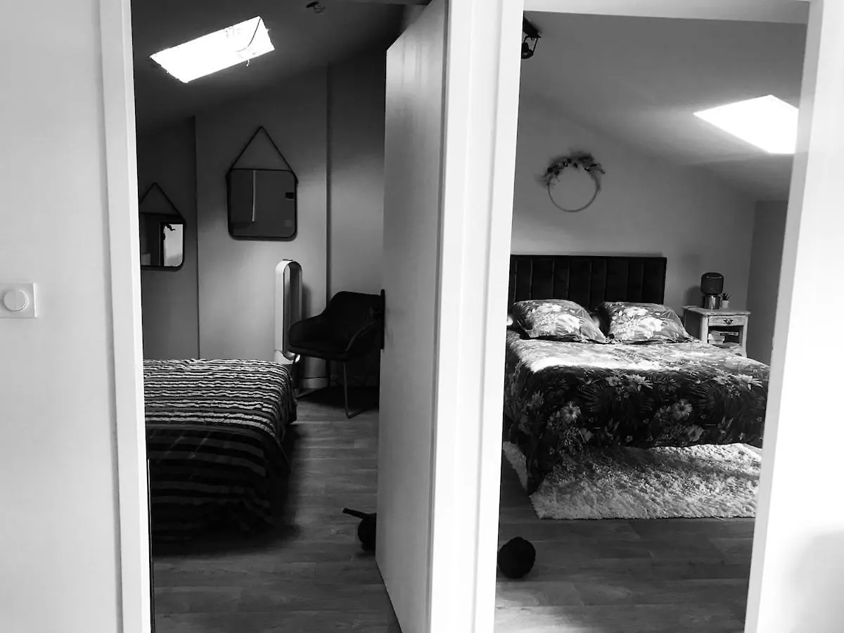 Loft 90M2 Avec Spa Chauffe Unique A Лион Франция